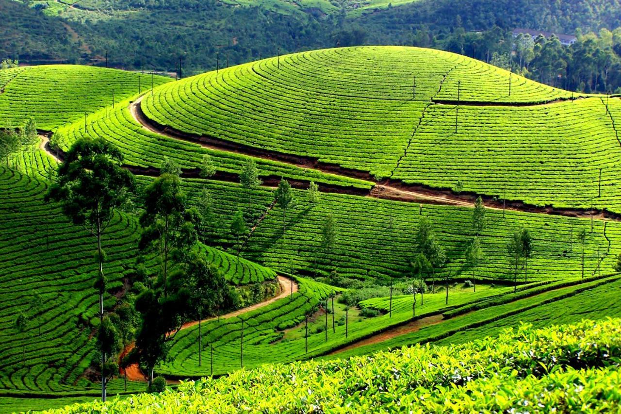 Mistica Munnar Apartment Anachal Exterior foto