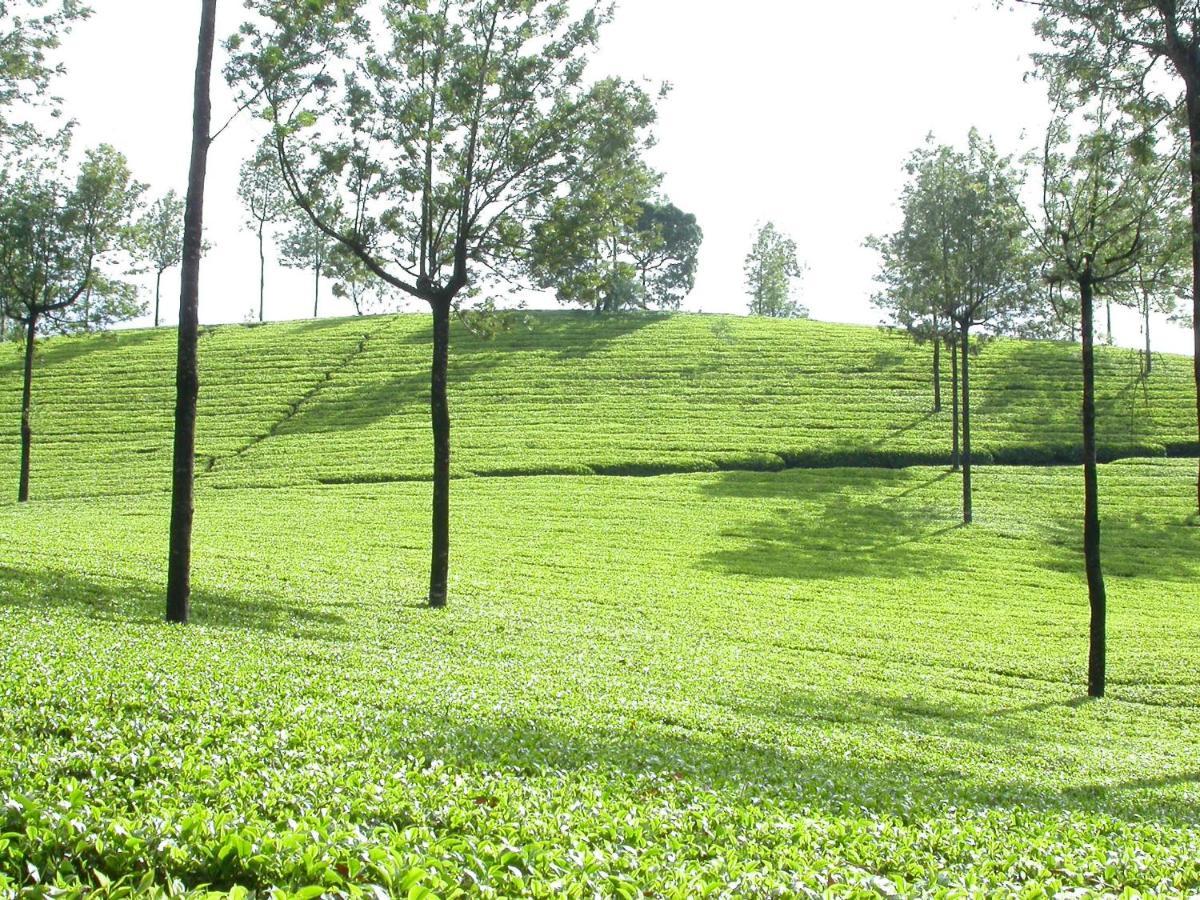 Mistica Munnar Apartment Anachal Exterior foto