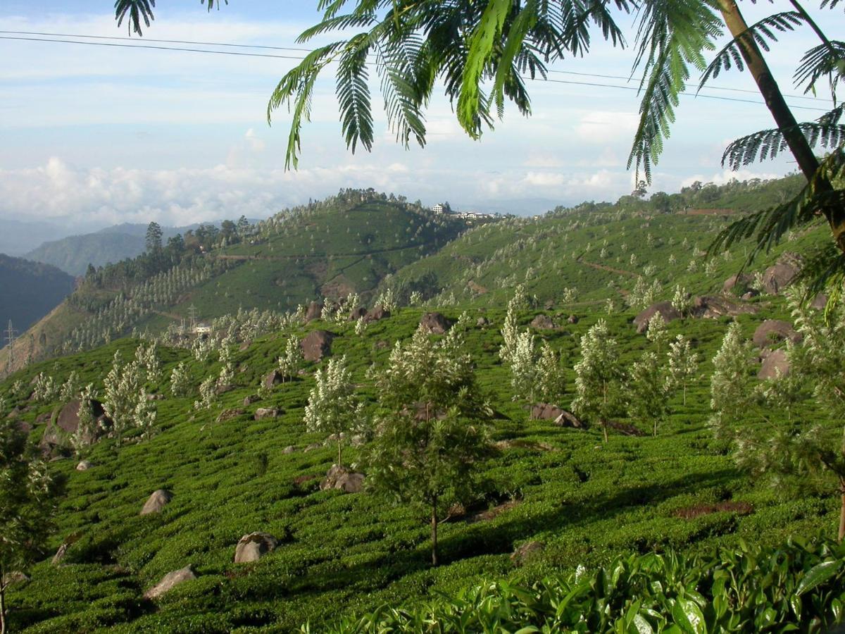 Mistica Munnar Apartment Anachal Exterior foto